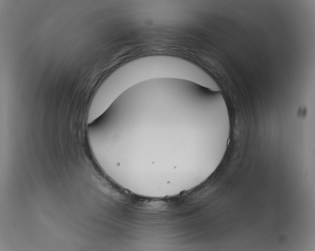 X0000112180409200909041235
