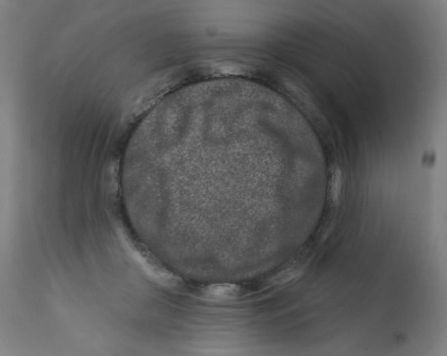 X0000112180410200909041235