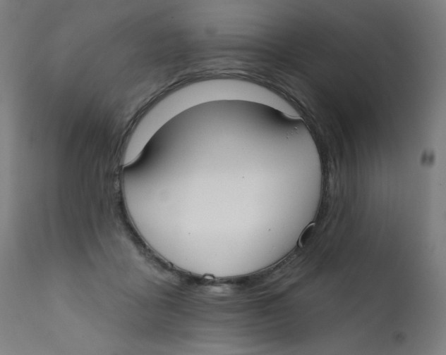 X0000112180411200909041235