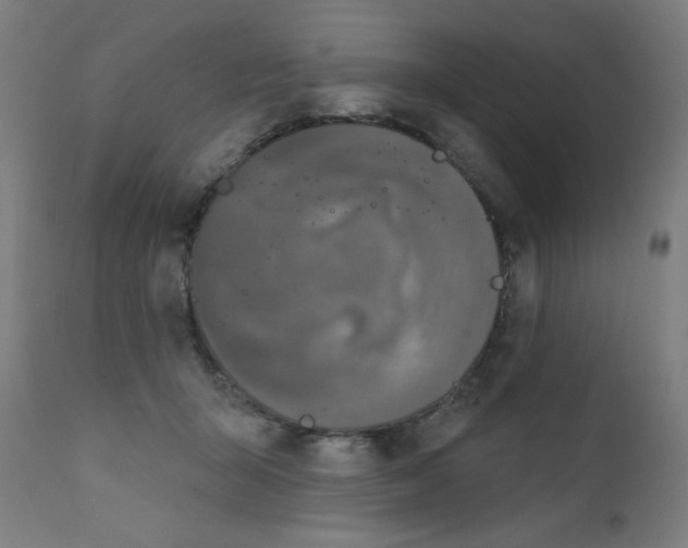 X0000112180415200909041235