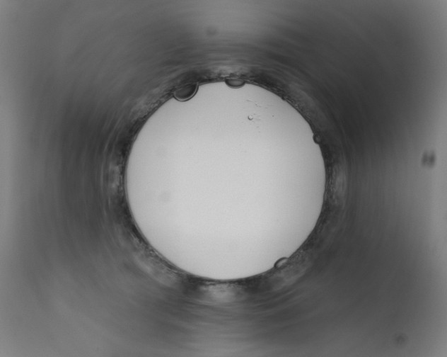 X0000112180417200909041235