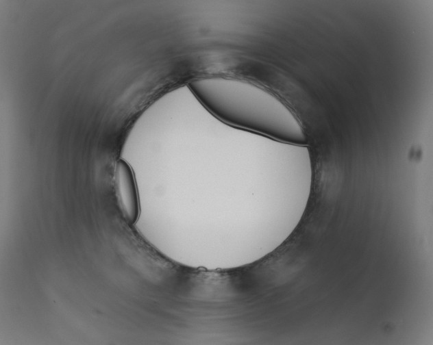 X0000112180421200909041235