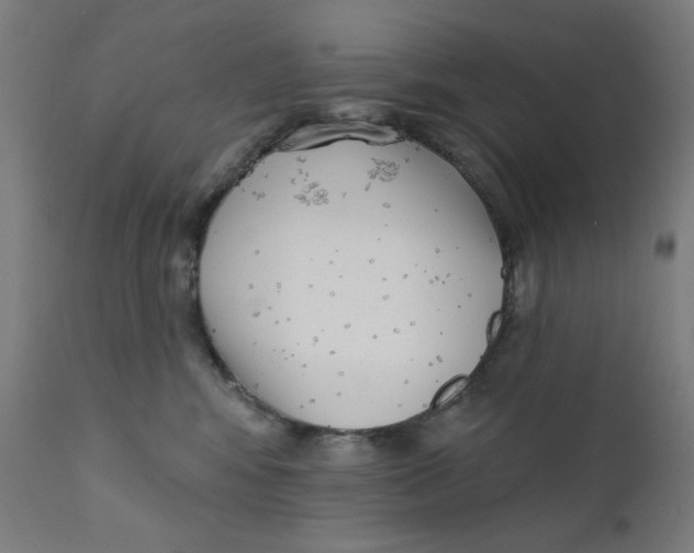 X0000112180424200909041235