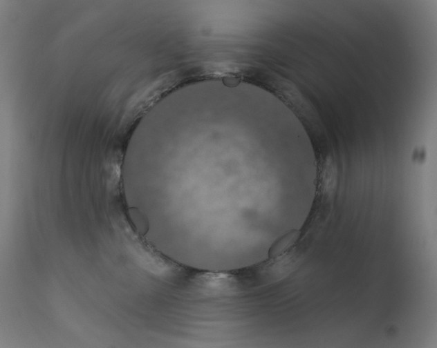 X0000112180427200909041234