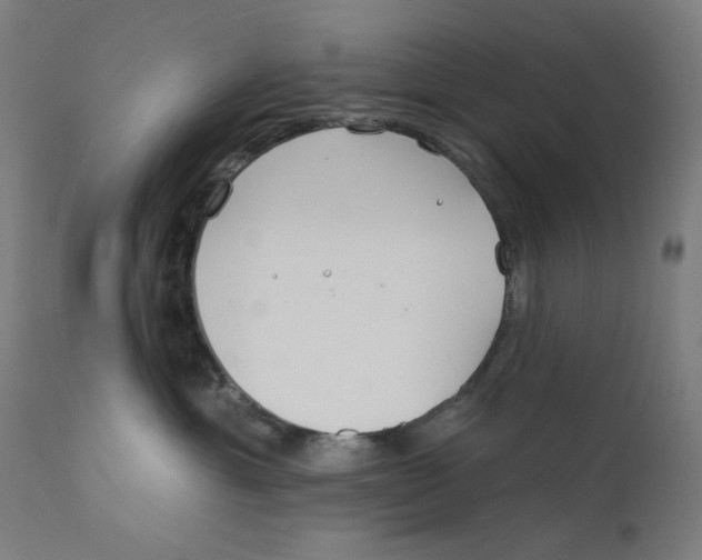 X0000112180429200909041234