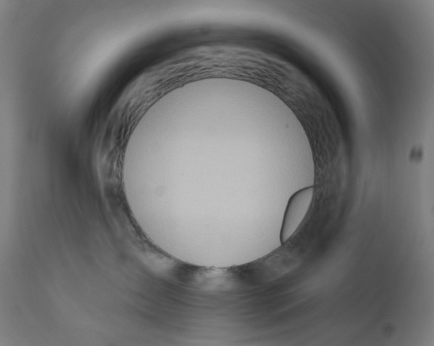 X0000112180431200909041234