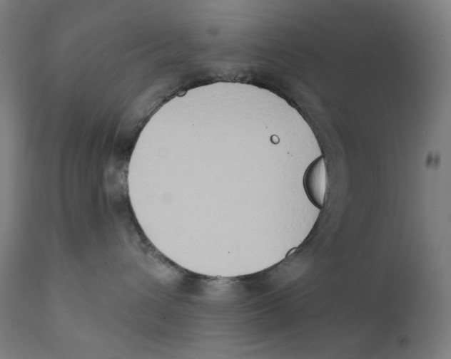 X0000112180432200909041234