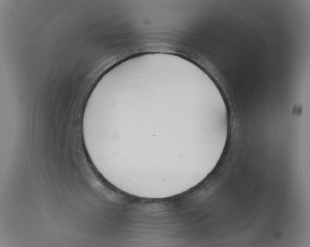 X0000112180433200909041234