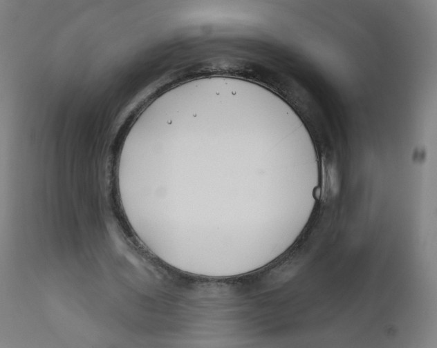 X0000112180435200909041234