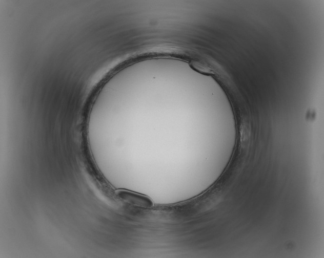 X0000112180436200909041234