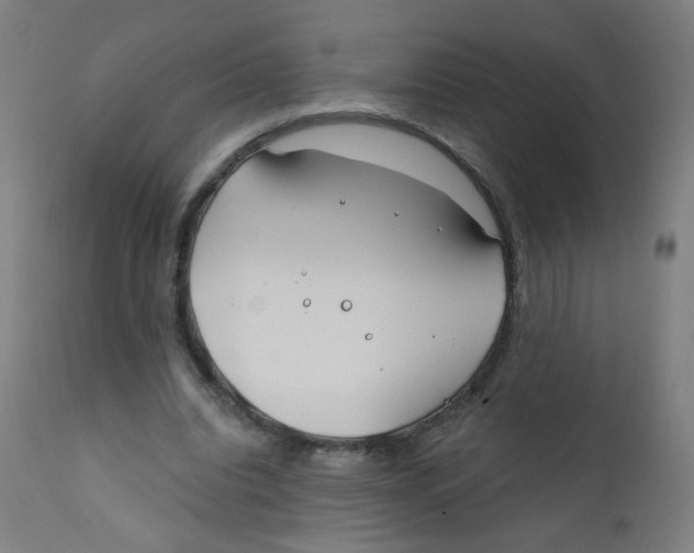 X0000112180440200909041234