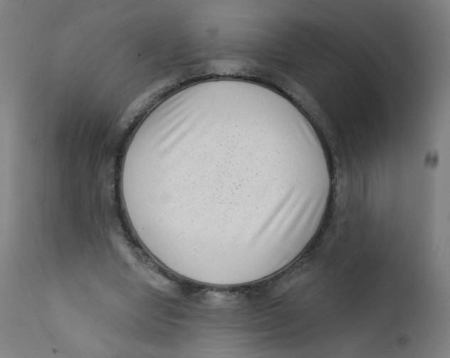 X0000112180442200909041234