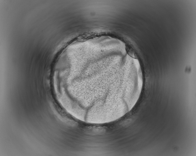 X0000112180443200909041234