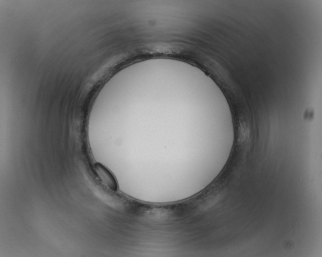 X0000112180444200909041234