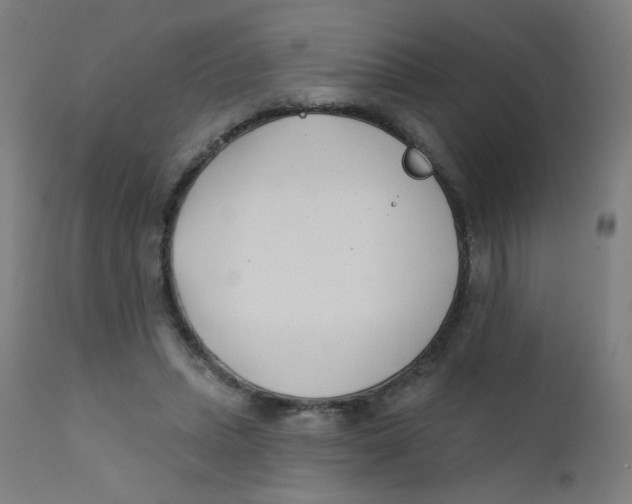 X0000112180447200909041234