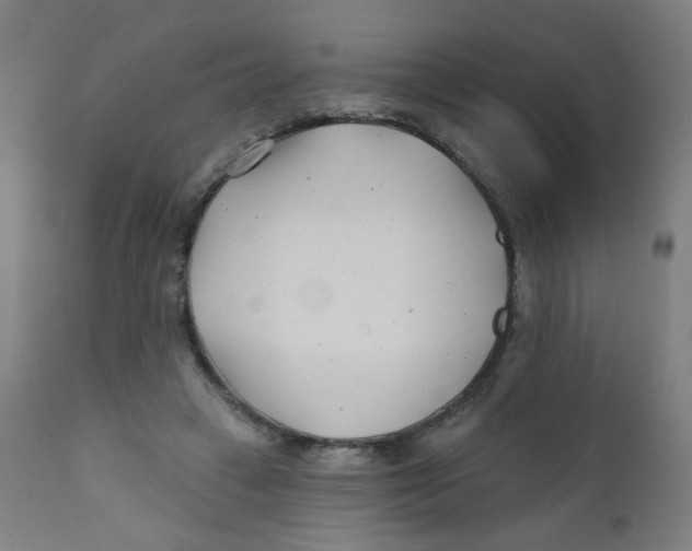 X0000112180449200909041234