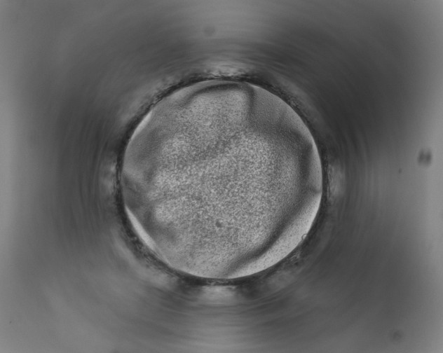 X0000112180451200909041234