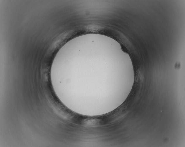 X0000112180452200909041234