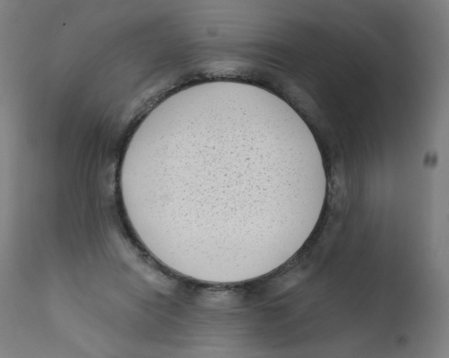 X0000112180454200909041234