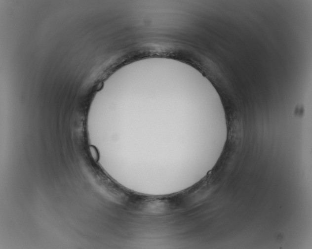 X0000112180456200909041234