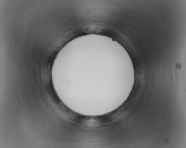 X0000112180460200909041234
