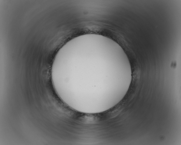 X0000112180464200909041234