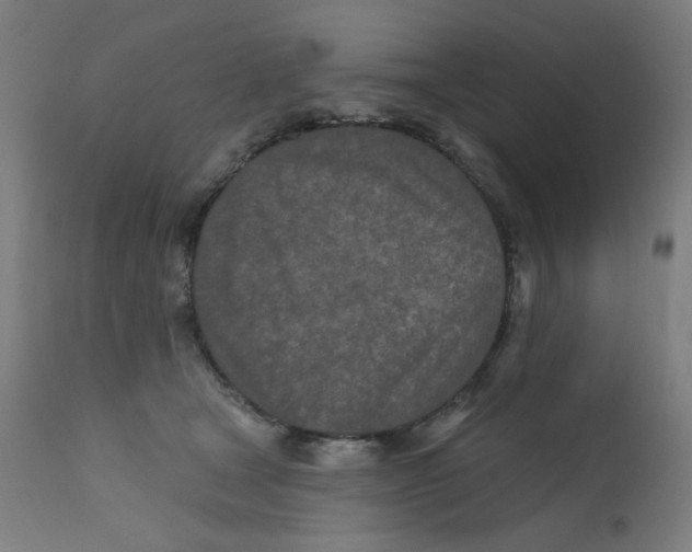 X0000112180465200909041234