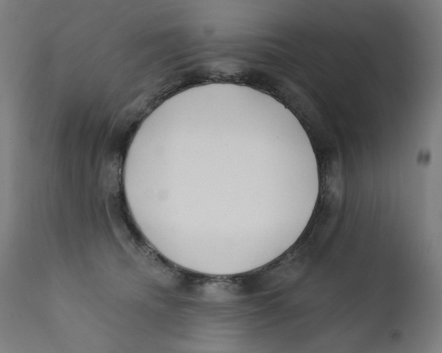 X0000112180468200909041234