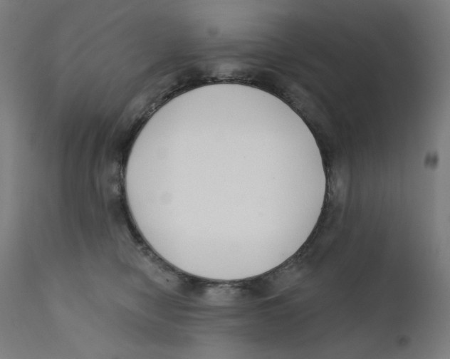 X0000112180470200909041234