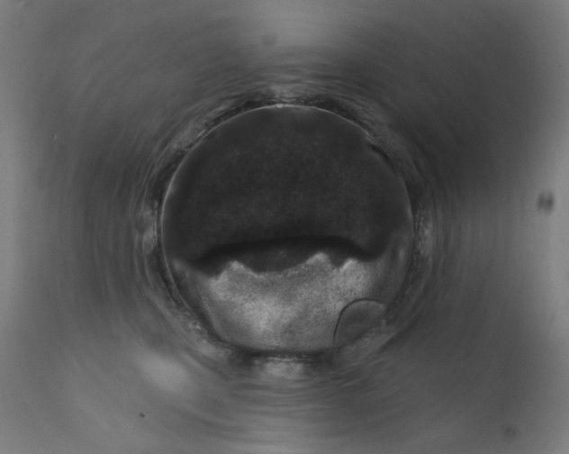X0000112180471200909041234
