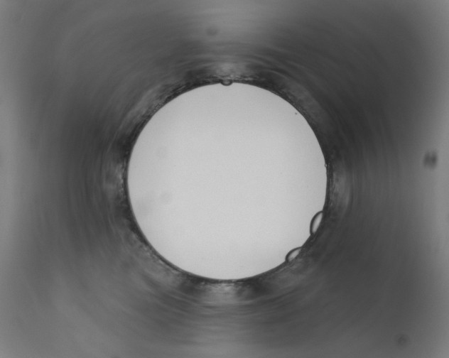 X0000112180473200909041234