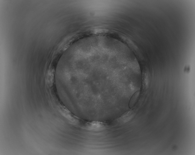 X0000112180475200909041234