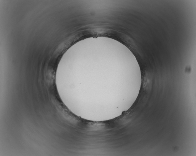 X0000112180476200909041234