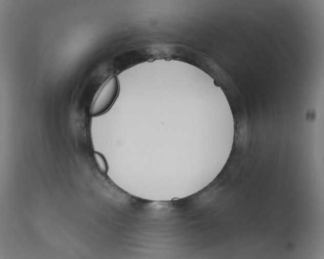 X0000112180477200909041234