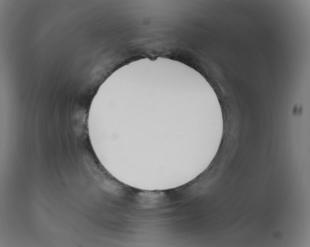 X0000112180480200909041234