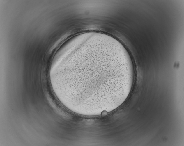 X0000112180482200909041234