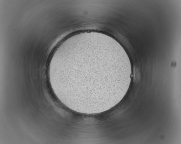 X0000112180483200909041234