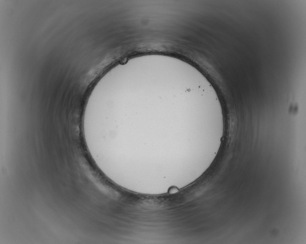 X0000112180489200909041234