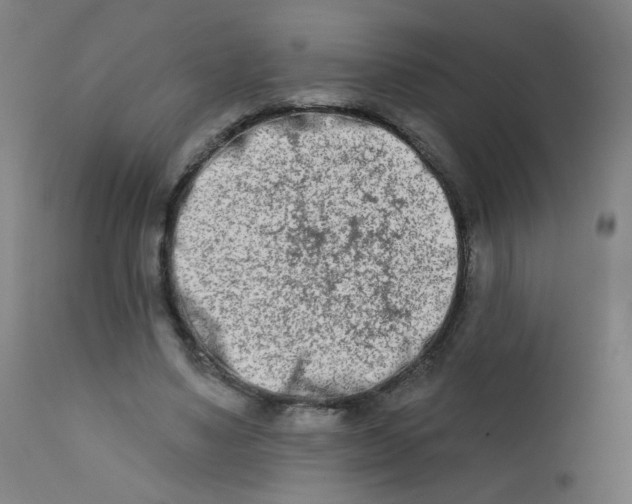 X0000112180491200909041234