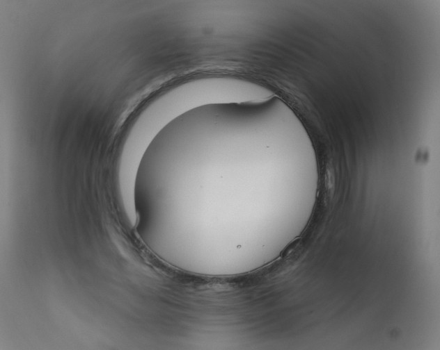 X0000112180492200909041234
