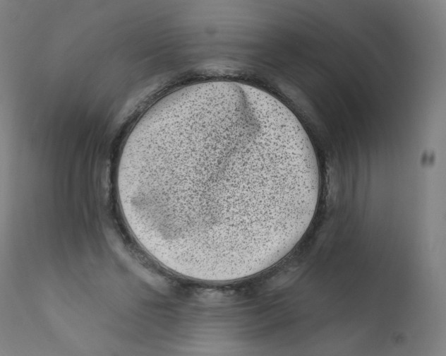 X0000112180494200909041234