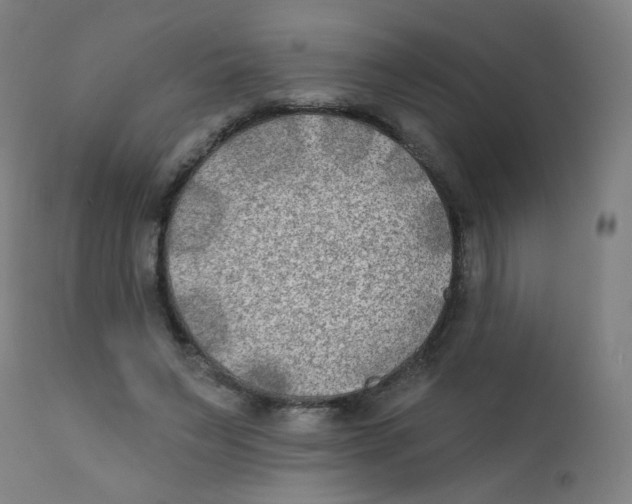 X0000112180495200909041234