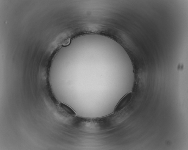 X0000112180500200909041233