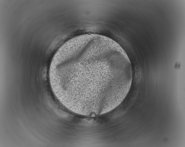 X0000112180502200909041233