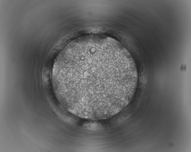 X0000112180503200909041233