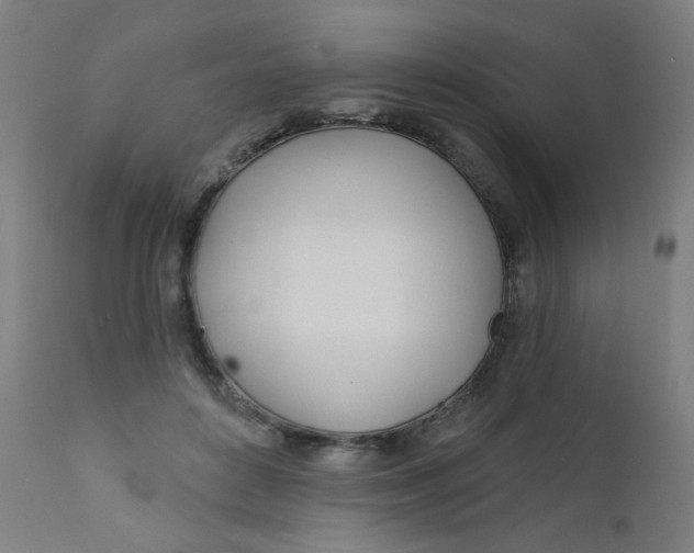 X0000112180504200909041233