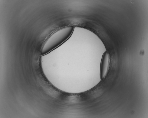 X0000112180505200909041233