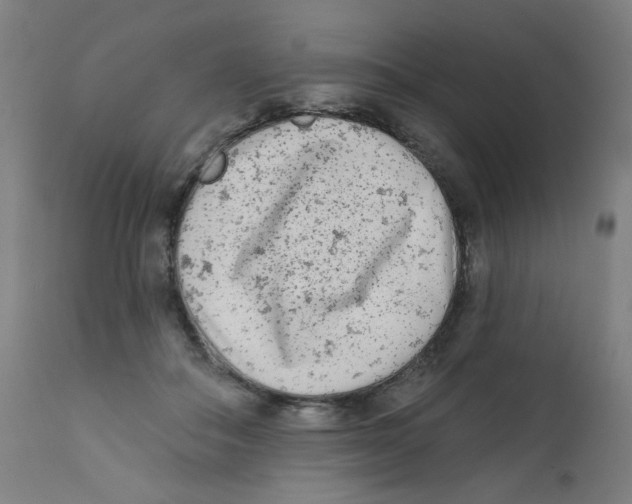 X0000112180506200909041233