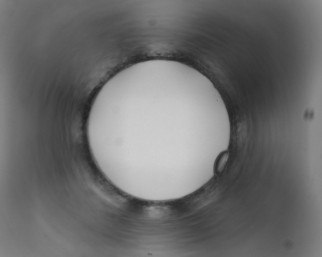 X0000112180508200909041233