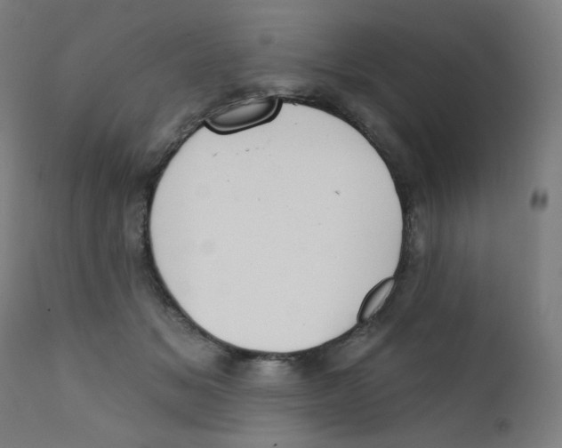 X0000112180509200909041233